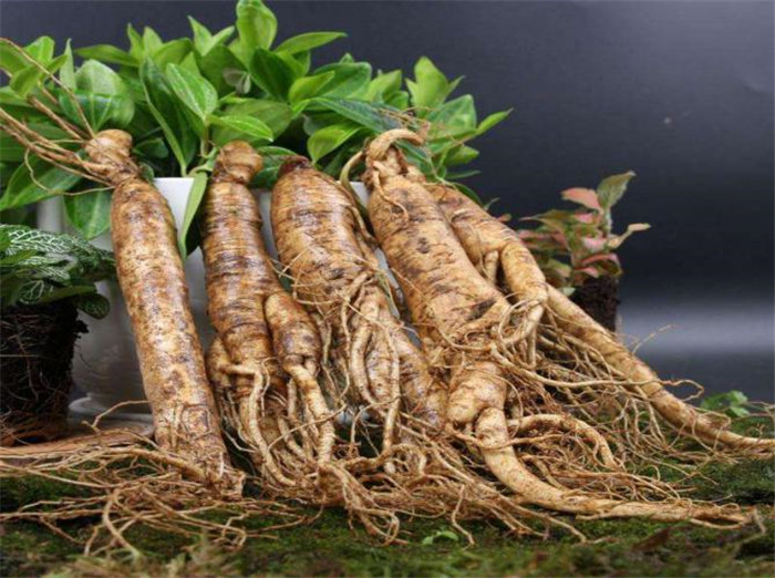 image001_副本2.jpg image001_副本2.jpg